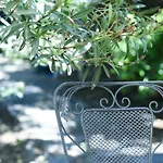 בית נופש Basil Tree Stonehouse Flomochori