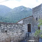 Basil Tree Stonehouse *
