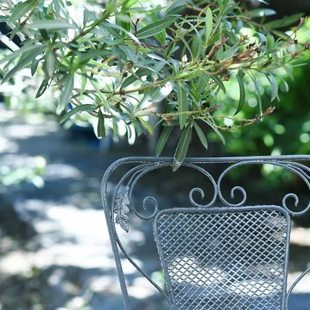 Дом отдыха Basil Tree Stonehouse Flomochori