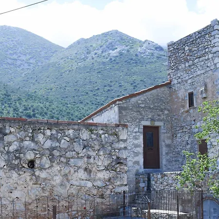 Basil Tree Stonehouse *