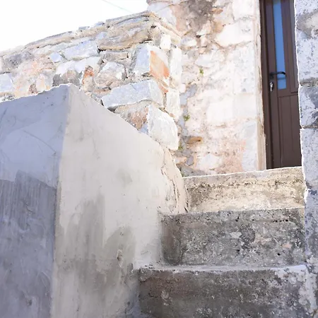 Basil Tree Stonehouse *