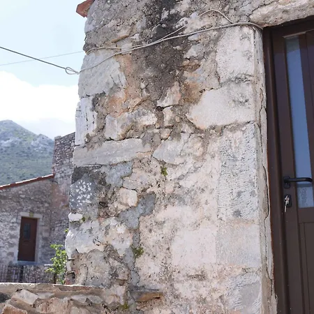 Basil Tree Stonehouse