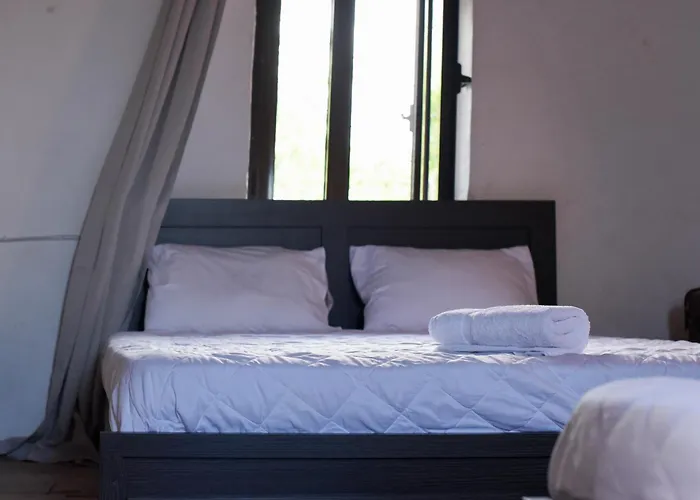 Basil Tree Stonehouse *