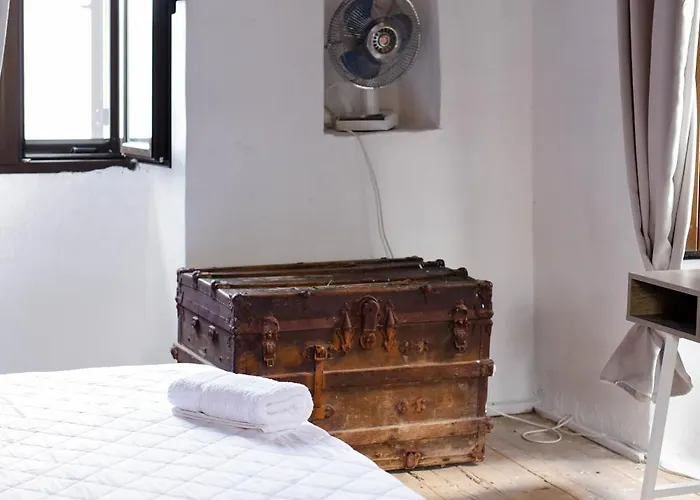 Basil Tree Stonehouse Flomochori