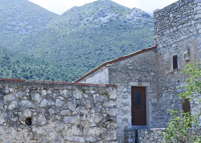 Basil Tree Stonehouse *