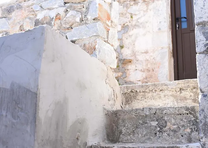 Basil Tree Stonehouse *