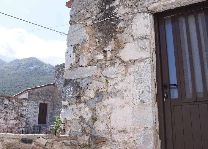 Basil Tree Stonehouse